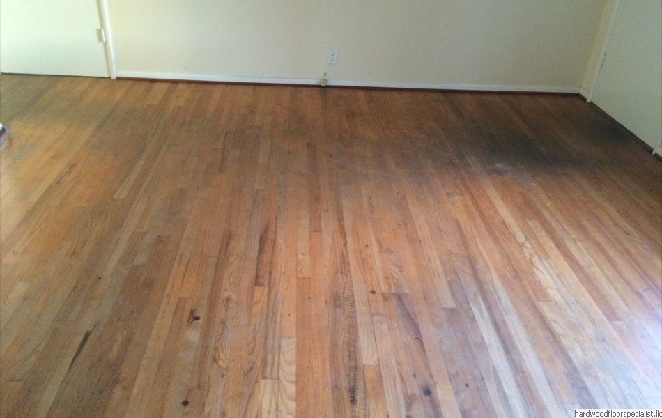 49 Red Oak  before