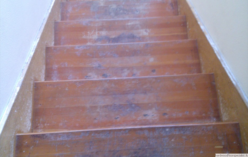 75 Fir stairs before