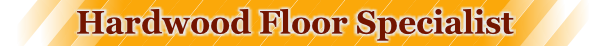 hfs logo